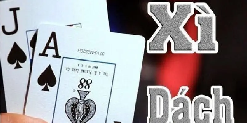 bai xi dach 1 Giới thiệu bài xì dách